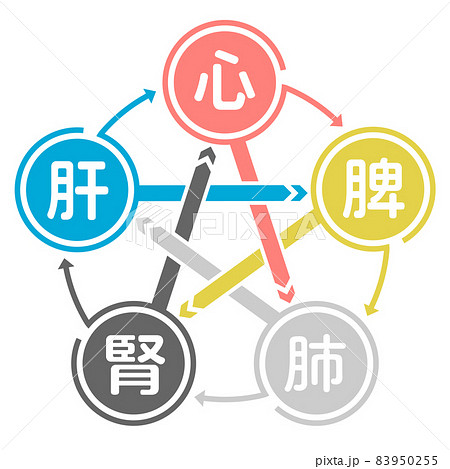 五臓六腑相関図 五臓六腑相関図 83950255