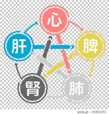 五臓六腑相関図 五臓六腑相関図 83950255