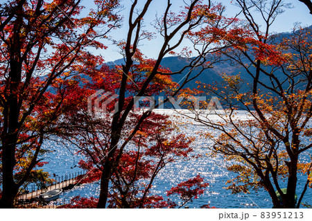 神奈川県足柄下郡箱根町元箱根芦ノ湖の秋色 神奈川県足柄下郡箱根町元箱根芦ノ湖の秋色 83951213