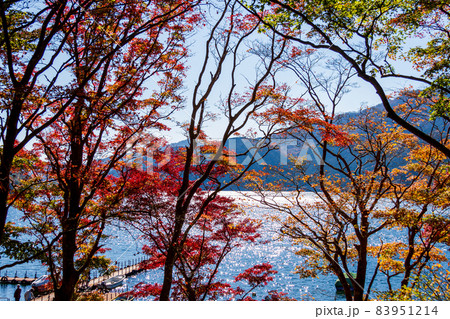神奈川県足柄下郡箱根町元箱根芦ノ湖の秋色 83951214