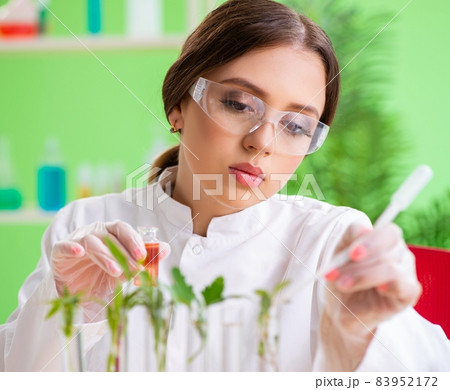 Beautiful female biotechnology scientist chemist working in lab Beautiful female biotechnology scientist chemist working in lab 83952172