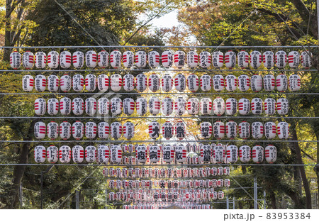 酉の市　提灯　商売繁盛　鳥居　神社 83953384