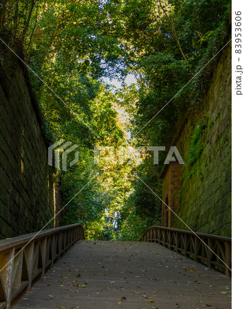 猿島 無人島 猿島 無人島 83953606