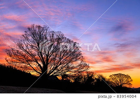 比叡山と鴨川の風景 83954004