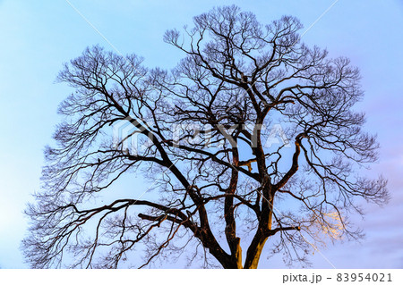 比叡山と鴨川の風景 比叡山と鴨川の風景 83954021
