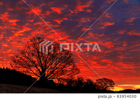 鴨川と比叡山の風景 83954030