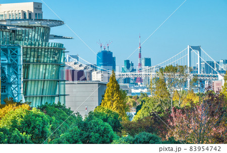 日本の東京都市景観 臨海副都心から変貌する大都会・東京都心部を望む。手前左側は日本科学未来館など 日本の東京都市景観 臨海副都心から変貌する大都会・東京都心部を望む。手前左側は日本科学未来館など 83954742