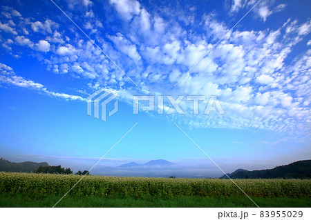 浅間山と蕎麦畑 浅間山と蕎麦畑 83955029