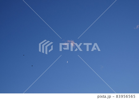 月が浮かぶ夕空と飛ぶカラス 月が浮かぶ夕空と飛ぶカラス 83956565