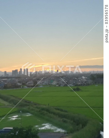 思い出の朝 83956578