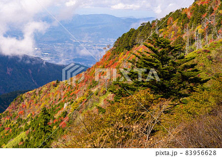 岐阜県と長野県の県境　神坂峠付近からの紅葉の山 83956628