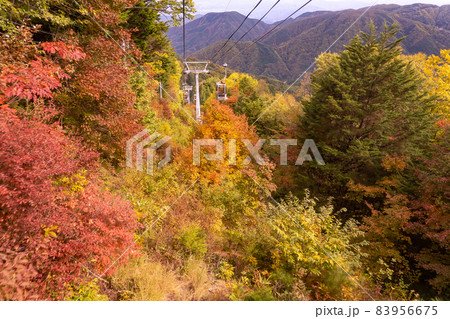長野県阿智村 紅葉に包まれたヘブンスそのはらのゴンドラ 長野県阿智村 紅葉に包まれたヘブンスそのはらのゴンドラ 83956675