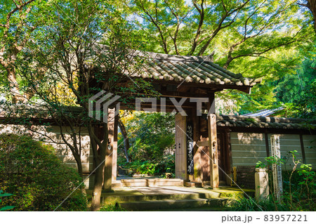 秋の鎌倉 瑞泉寺 山門 秋の鎌倉 瑞泉寺 山門 83957221