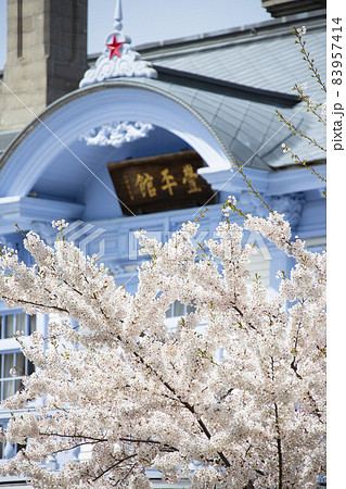 春　満開の桜と札幌市の歴史的建造物　豊平館 83957414