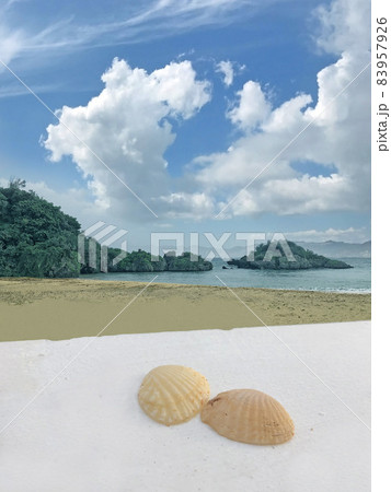 沖縄の砂浜と貝がら 沖縄の砂浜と貝がら 83957926