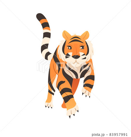 Walking tiger animal. Big wild cat, front view vector illustration 83957991