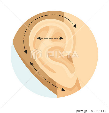 Otoplasty cosmetic surgery procedure of female face with dotted lines. Plastic surgery vector illustration 83958110