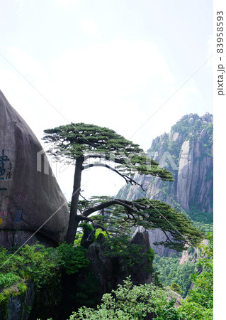 スポット 自然 風景 83958593