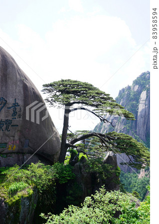 スポット 自然 風景 83958594