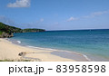 沖永良部島　美しい海岸線と東シナ海 83958598