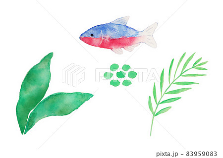 テトラ テトラ 83959083