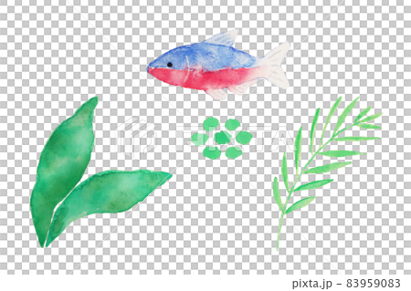 テトラ テトラ 83959083