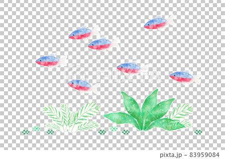 Tetra Tetra 83959084