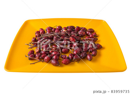 dry rose on a yellow plate, white background dry rose on a yellow plate, white background 83959735