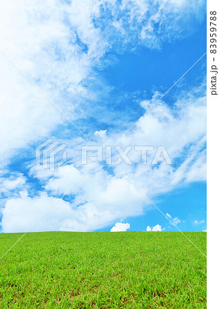 綺麗な青空と新緑の草原風景の写真素材 [83959788] - PIXTA