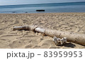 久米島　アーラ浜の絵になる構図 83959953