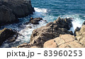 東尋坊から日本海の荒波を望む 83960253