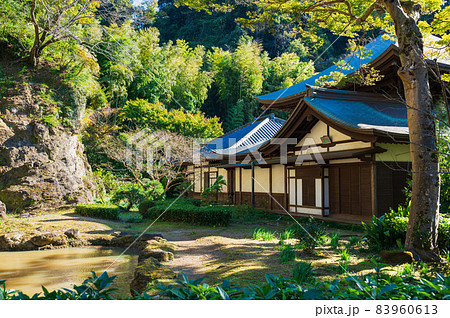 秋の鎌倉 瑞泉寺 庭園 秋の鎌倉 瑞泉寺 庭園 83960613