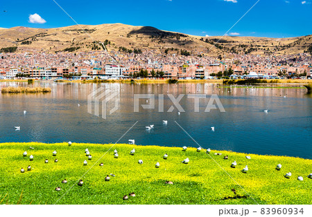 View of Puno from Lake Titicaca in Peru View of Puno from Lake Titicaca in Peru 83960934