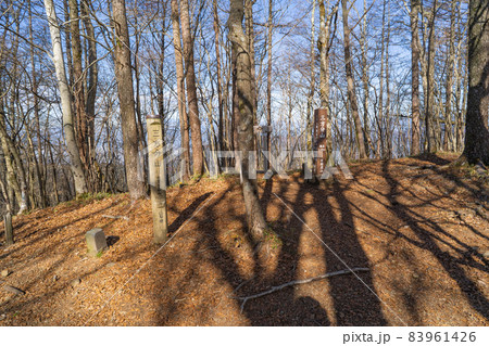 三方分山の山頂(富士河口湖町) 三方分山の山頂(富士河口湖町) 83961426