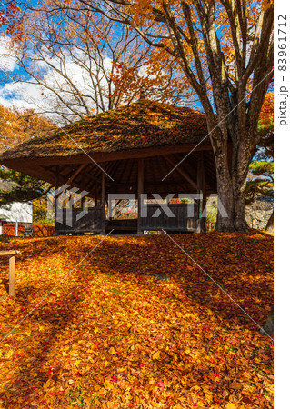 絶景、秋の信州小諸、紅葉の競演、古城跡を赤く染める紅葉 絶景、秋の信州小諸、紅葉の競演、古城跡を赤く染める紅葉 83961712