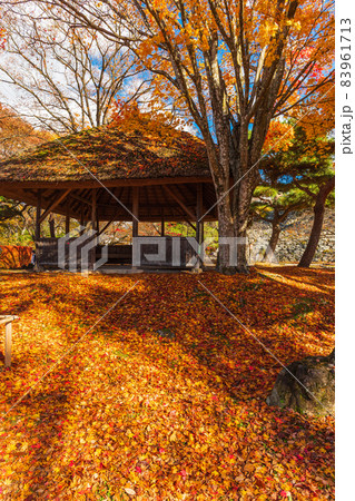 絶景、秋の信州小諸、紅葉の競演、古城跡を赤く染める紅葉 83961713