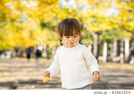 紅葉の公園を散歩する女の子 83962856