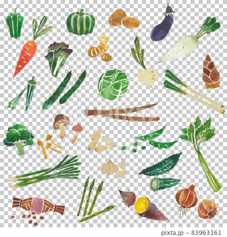 Watercolor green-yellow vegetables and root vegetables illustration set vector material Watercolor green-yellow vegetables and root vegetables illustration set vector material 83963161