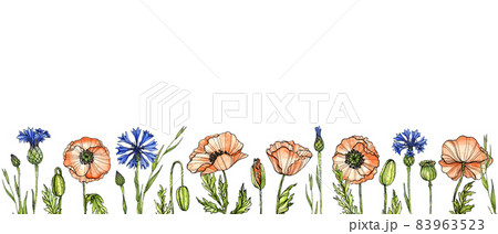 Wildflowers banner on white background. Watercolor, ink. Hand-drawn spring illustration 83963523