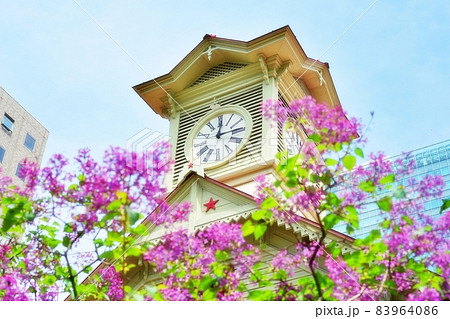 札幌市時計台とライラック 83964086