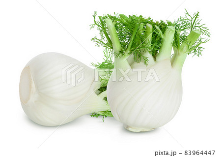 fresh fennel bulb isolated on white background with full depth of field 83964447