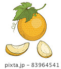 Melon. Cartoon vector icon. Series of food and drink and ingredients for cooking. 83964541