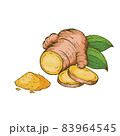Turmeric, Curcuma powder and root on white background vector illustration. 83964545