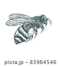 vector hand drawn illustration of bee 83964546