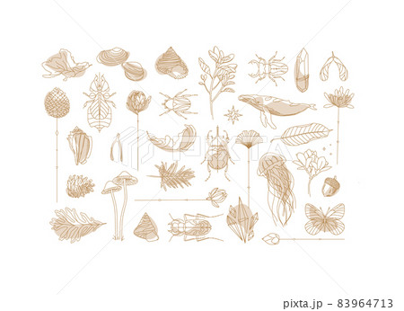 Art Deco flora fauna elements Art Deco flora fauna elements 83964713