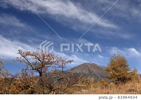 御殿場市太郎坊　黄葉進む雲乱れ舞う富士山 83964934