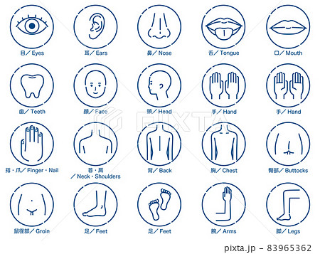 人体の部位 アイコンセット 1色 人体の部位 アイコンセット 1色 83965362