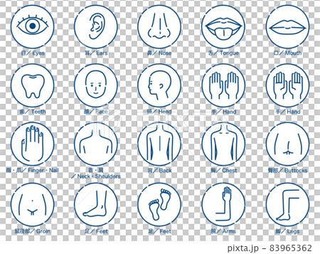 人体の部位 アイコンセット 1色 人体の部位 アイコンセット 1色 83965362