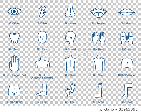 Human body part icon set 1 color Human body part icon set 1 color 83965365