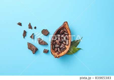 Cocoa pod with beans and chocolate 83965383